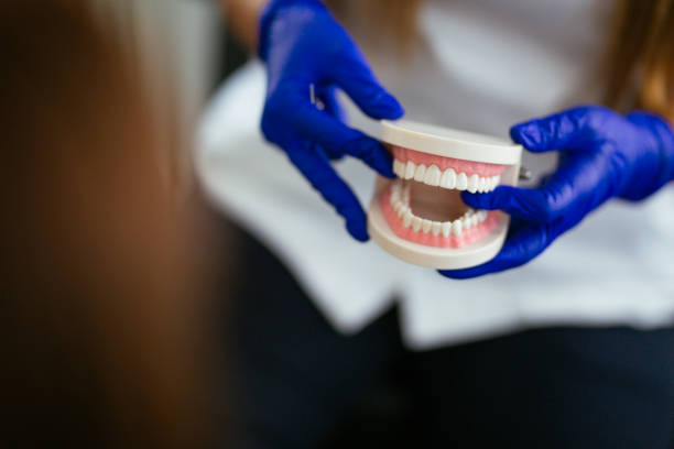 Reliable Belhaven, NC Dental Services Solutions